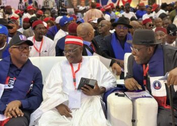 2027: NDC Reserves Presidency for Southern Nigeria