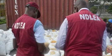 NDLEA Dismantles Nigerian-Mexican Meth Syndicate, Seizes ₦480bn Drugs In Ogun Forest