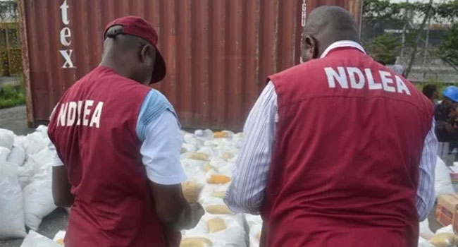 NDLEA Dismantles Nigerian-Mexican Meth Syndicate, Seizes ₦480bn Drugs In Ogun Forest