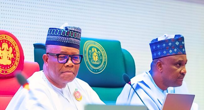 NASS Ad Hoc Committee To Visit South Africa Over Xenophobia