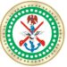 DHQ: Joint operation with US led to killing of 175 ISIS fighters, top commanders