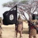 Boko Haram terrorists storm Chibok village in Borno