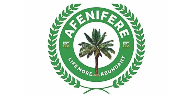 Afenifere calls for self-defence over bandit attacks in Southwest