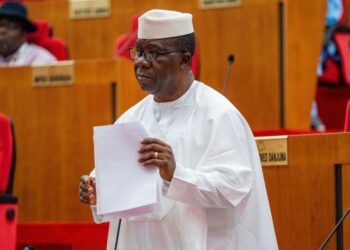 Six-Year Single Term Proposal Sparks Criticism on Eagle FM Programme